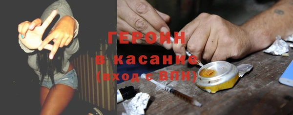 сатива Арсеньев