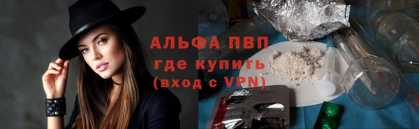 гидра Алексин