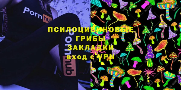 гидра Алексин
