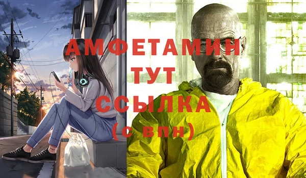 гидропоника Алзамай