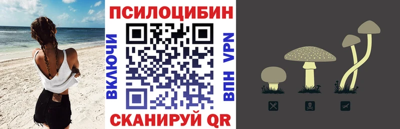 Галлюциногенные грибы Psilocybine cubensis  Байкальск 